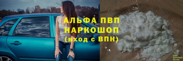хмурый Алзамай