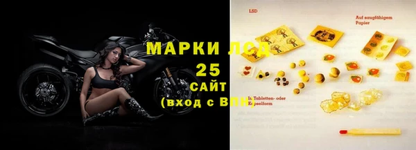 хмурый Алзамай