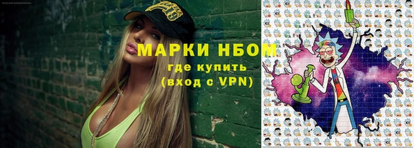хмурый Алзамай