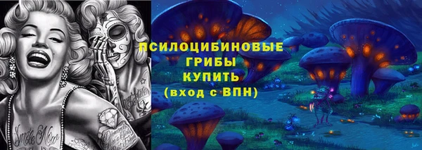 хмурый Алзамай