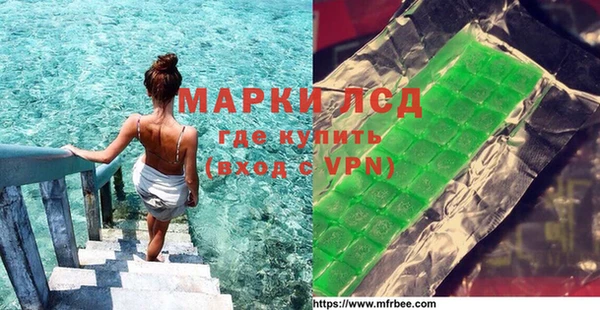 хмурый Алзамай